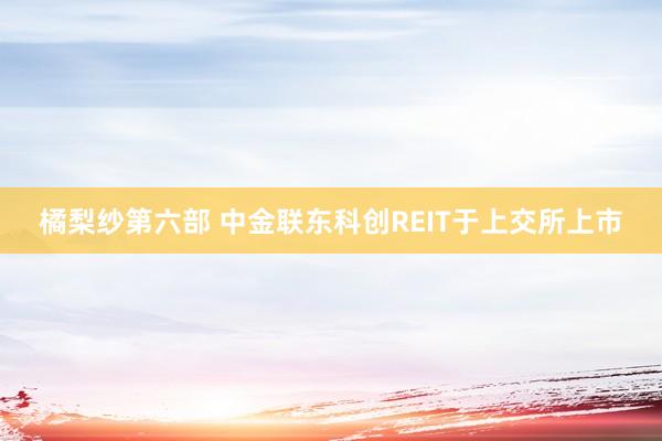 橘梨纱第六部 中金联东科创REIT于上交所上市