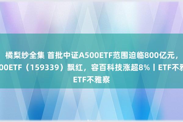 橘梨纱全集 首批中证A500ETF范围迫临800亿元，A500ETF（159339）飘红，容百科技涨超8%丨ETF不雅察