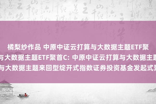 橘梨纱作品 中原中证云打算与大数据主题ETF聚首A，中原中证云打算与大数据主题ETF聚首C: 中原中证云打算与大数据主题来回型绽开式指数证券投资基金发起式聚首基金基金合同