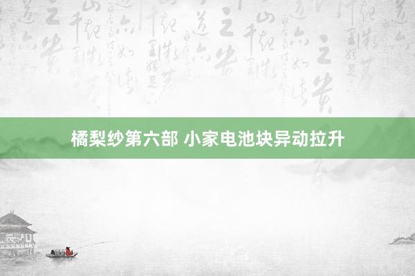 橘梨纱第六部 小家电池块异动拉升