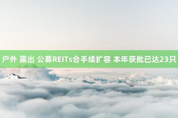 户外 露出 公募REITs合手续扩容 本年获批已达23只