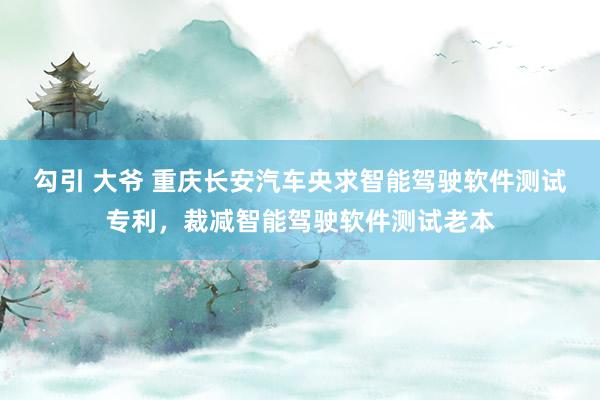 勾引 大爷 重庆长安汽车央求智能驾驶软件测试专利，裁减智能驾驶软件测试老本