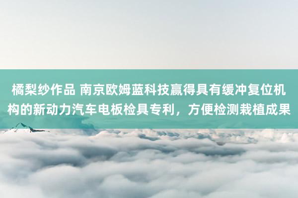 橘梨纱作品 南京欧姆蓝科技赢得具有缓冲复位机构的新动力汽车电板检具专利，方便检测栽植成果