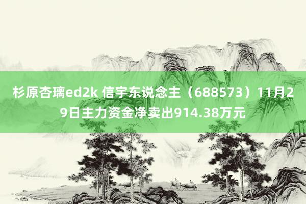 杉原杏璃ed2k 信宇东说念主（688573）11月29日主力资金净卖出914.38万元