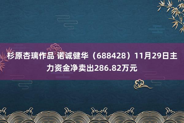 杉原杏璃作品 诺诚健华（688428）11月29日主力资金净卖出286.82万元