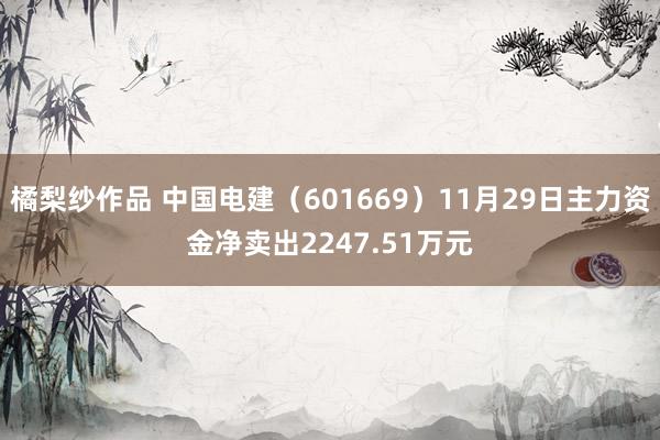 橘梨纱作品 中国电建（601669）11月29日主力资金净卖出2247.51万元