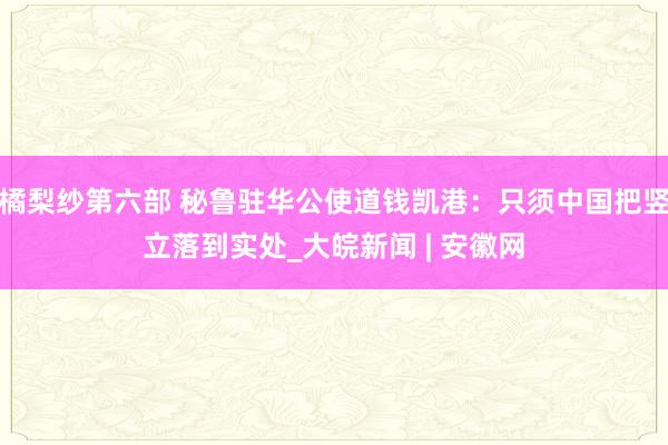 橘梨纱第六部 秘鲁驻华公使道钱凯港：只须中国把竖立落到实处_大皖新闻 | 安徽网