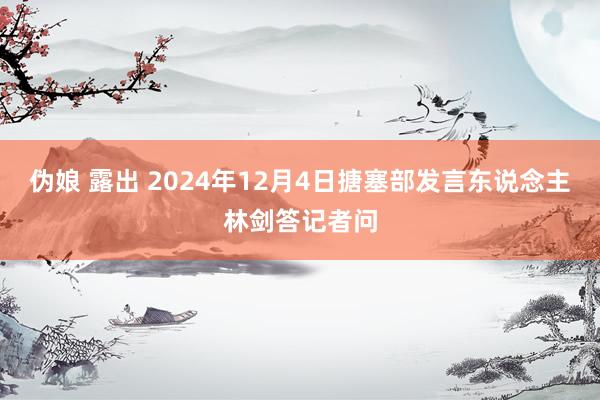 伪娘 露出 2024年12月4日搪塞部发言东说念主林剑答记者问