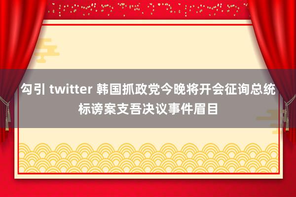 勾引 twitter 韩国抓政党今晚将开会征询总统标谤案支吾决议事件眉目