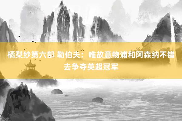 橘梨纱第六部 勒伯夫：唯故意物浦和阿森纳不错去争夺英超冠军