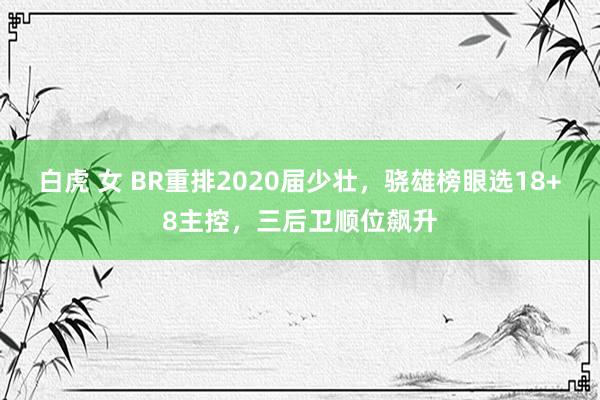 白虎 女 BR重排2020届少壮，骁雄榜眼选18+8主控，三后卫顺位飙升