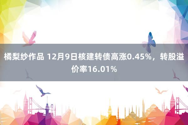 橘梨纱作品 12月9日核建转债高涨0.45%，转股溢价率16.01%