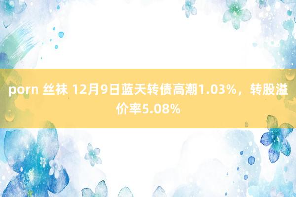 porn 丝袜 12月9日蓝天转债高潮1.03%，转股溢价率5.08%