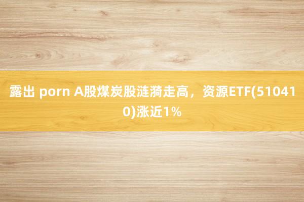 露出 porn A股煤炭股涟漪走高，资源ETF(510410)涨近1%