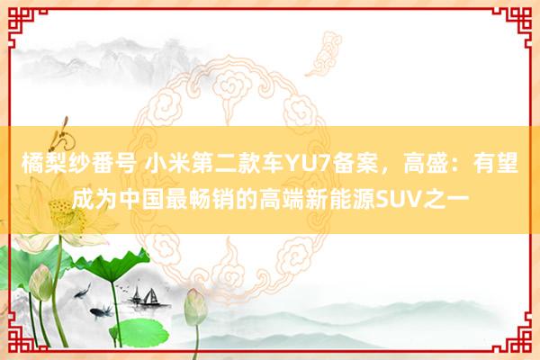 橘梨纱番号 小米第二款车YU7备案，高盛：有望成为中国最畅销的高端新能源SUV之一