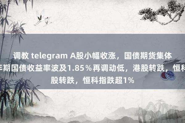 调教 telegram A股小幅收涨，国债期货集体高涨，10年期国债收益率波及1.85％再调动低，港股转跌，恒科指跌超1%