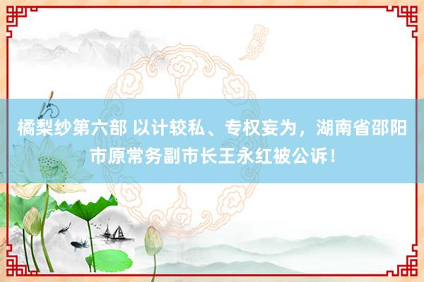 橘梨纱第六部 以计较私、专权妄为，湖南省邵阳市原常务副市长王永红被公诉！