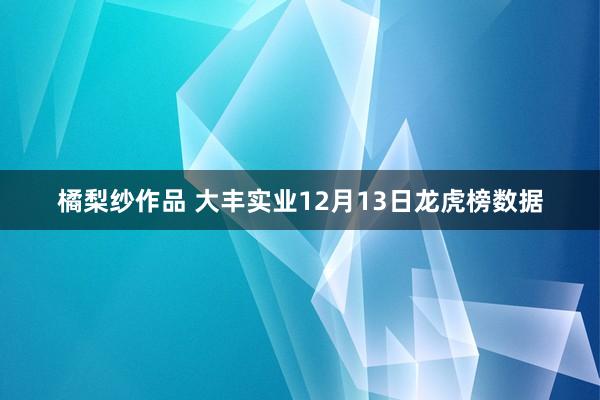 橘梨纱作品 大丰实业12月13日龙虎榜数据