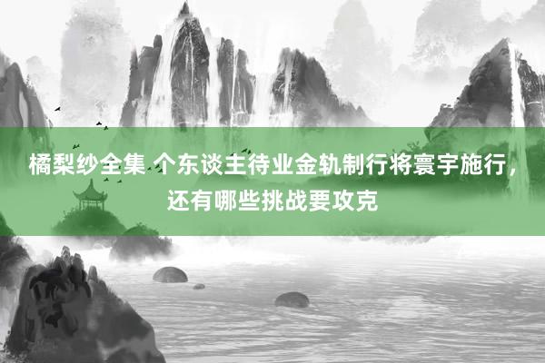 橘梨纱全集 个东谈主待业金轨制行将寰宇施行，还有哪些挑战要攻克