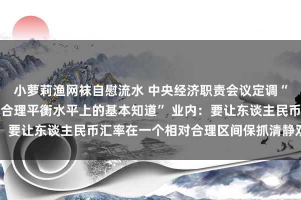 小萝莉渔网袜自慰流水 中央经济职责会议定调“保抓东谈主民币汇率在合理平衡水平上的基本知道” 业内：要让东谈主民币汇率在一个相对合理区间保抓清静双向波动