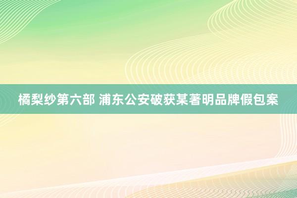 橘梨纱第六部 浦东公安破获某著明品牌假包案