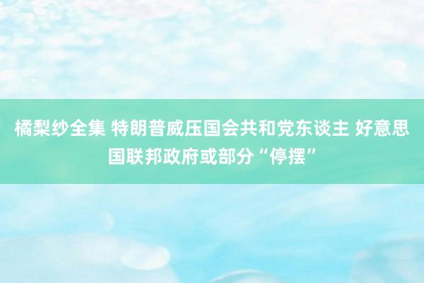 橘梨纱全集 特朗普威压国会共和党东谈主 好意思国联邦政府或部分“停摆”