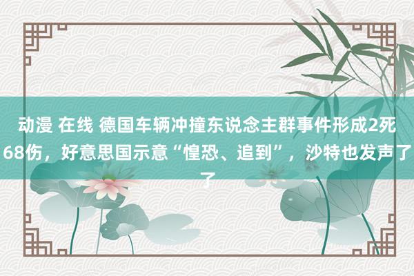 动漫 在线 德国车辆冲撞东说念主群事件形成2死68伤，好意思国示意“惶恐、追到”，沙特也发声了