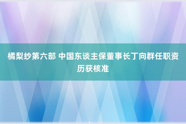 橘梨纱第六部 中国东谈主保董事长丁向群任职资历获核准