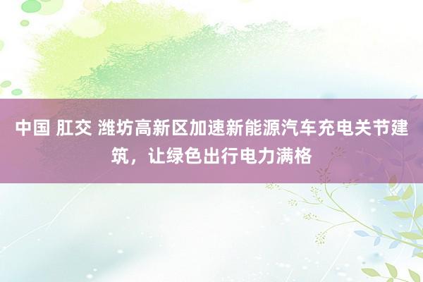 中国 肛交 潍坊高新区加速新能源汽车充电关节建筑，让绿色出行电力满格