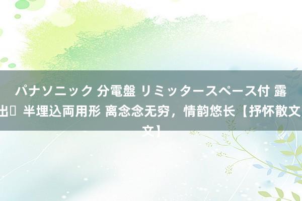 パナソニック 分電盤 リミッタースペース付 露出・半埋込両用形 离念念无穷，情韵悠长【抒怀散文】