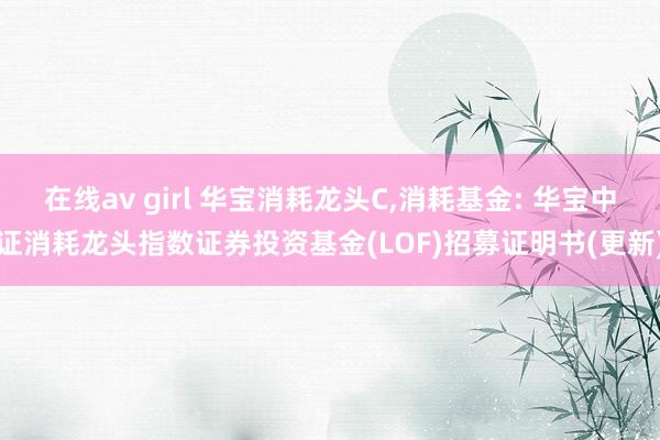 在线av girl 华宝消耗龙头C，消耗基金: 华宝中证消耗龙头指数证券投资基金(LOF)招募证明书(更新)