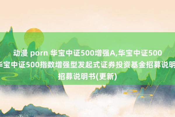 动漫 porn 华宝中证500增强A，华宝中证500增强C: 华宝中证500指数增强型发起式证券投资基金招募说明书(更新)