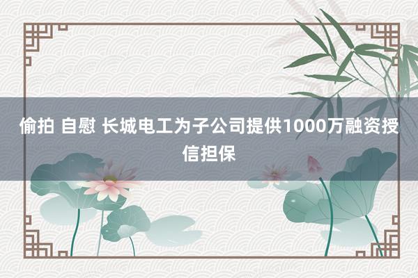 偷拍 自慰 长城电工为子公司提供1000万融资授信担保