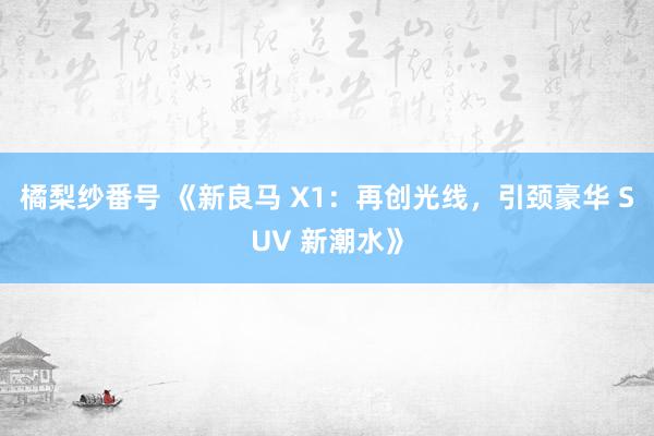 橘梨纱番号 《新良马 X1：再创光线，引颈豪华 SUV 新潮水》