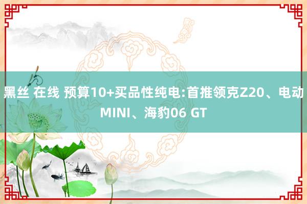 黑丝 在线 预算10+买品性纯电:首推领克Z20、电动MINI、海豹06 GT