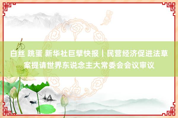 白丝 跳蛋 新华社巨擘快报｜民营经济促进法草案提请世界东说念主大常委会会议审议