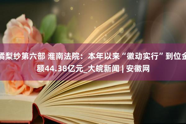 橘梨纱第六部 淮南法院：本年以来“徽动实行”到位金额44.38亿元_大皖新闻 | 安徽网