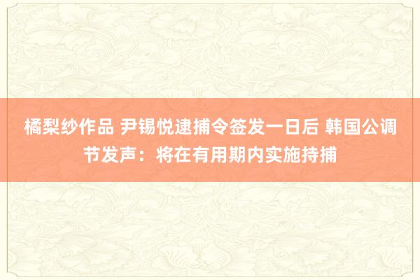 橘梨纱作品 尹锡悦逮捕令签发一日后 韩国公调节发声：将在有用期内实施持捕