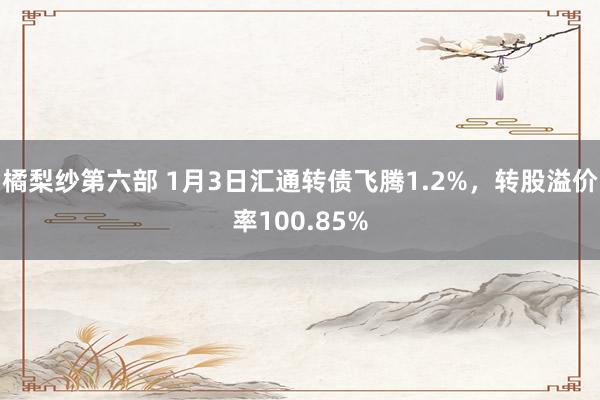 橘梨纱第六部 1月3日汇通转债飞腾1.2%，转股溢价率100.85%