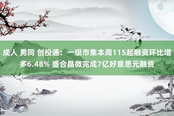 成人 男同 创投通：一级市集本周115起融资环比增多6.48% 盛合晶微完成7亿好意思元融资