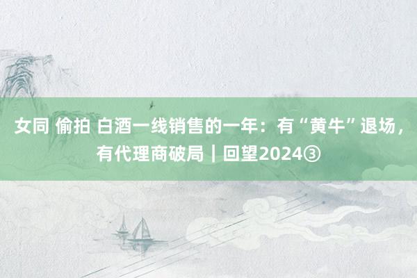 女同 偷拍 白酒一线销售的一年：有“黄牛”退场，有代理商破局｜回望2024③