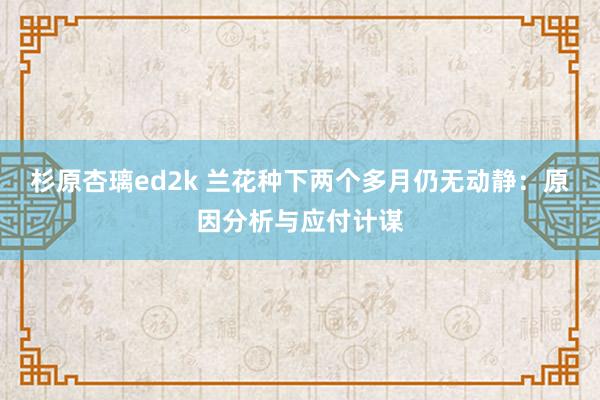 杉原杏璃ed2k 兰花种下两个多月仍无动静：原因分析与应付计谋