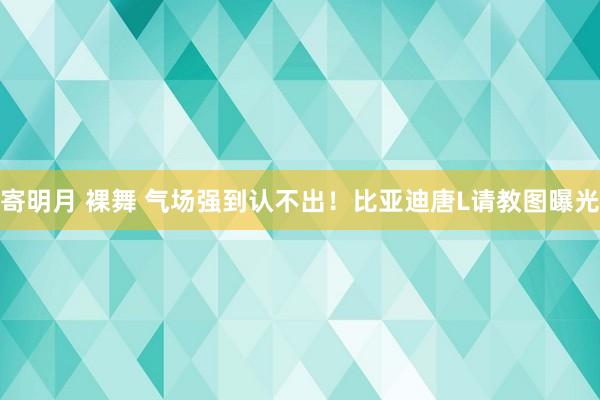 寄明月 裸舞 气场强到认不出！比亚迪唐L请教图曝光