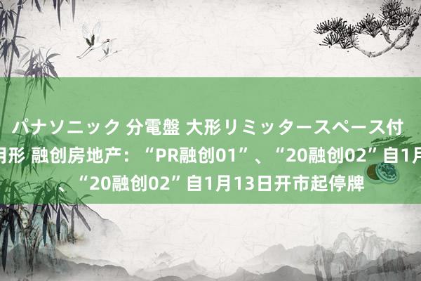 パナソニック 分電盤 大形リミッタースペース付 露出・半埋込両用形 融创房地产：“PR融创01”、“20融创02”自1月13日开市起停牌