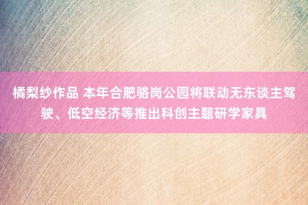 橘梨纱作品 本年合肥骆岗公园将联动无东谈主驾驶、低空经济等推出科创主题研学家具